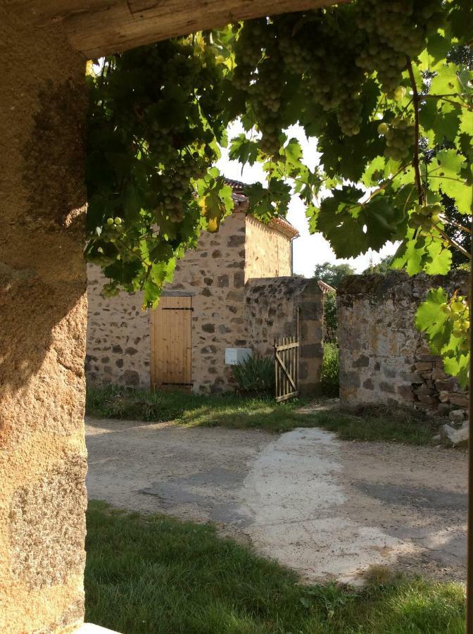 Gite Des Vergnes Esse Kültér fotó